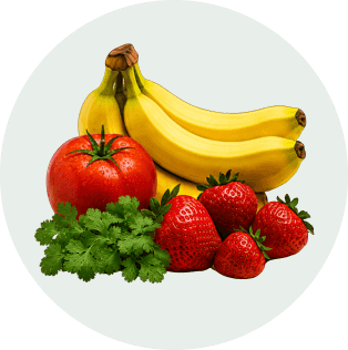 Vegetables & Fruits